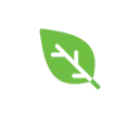 Purematcha